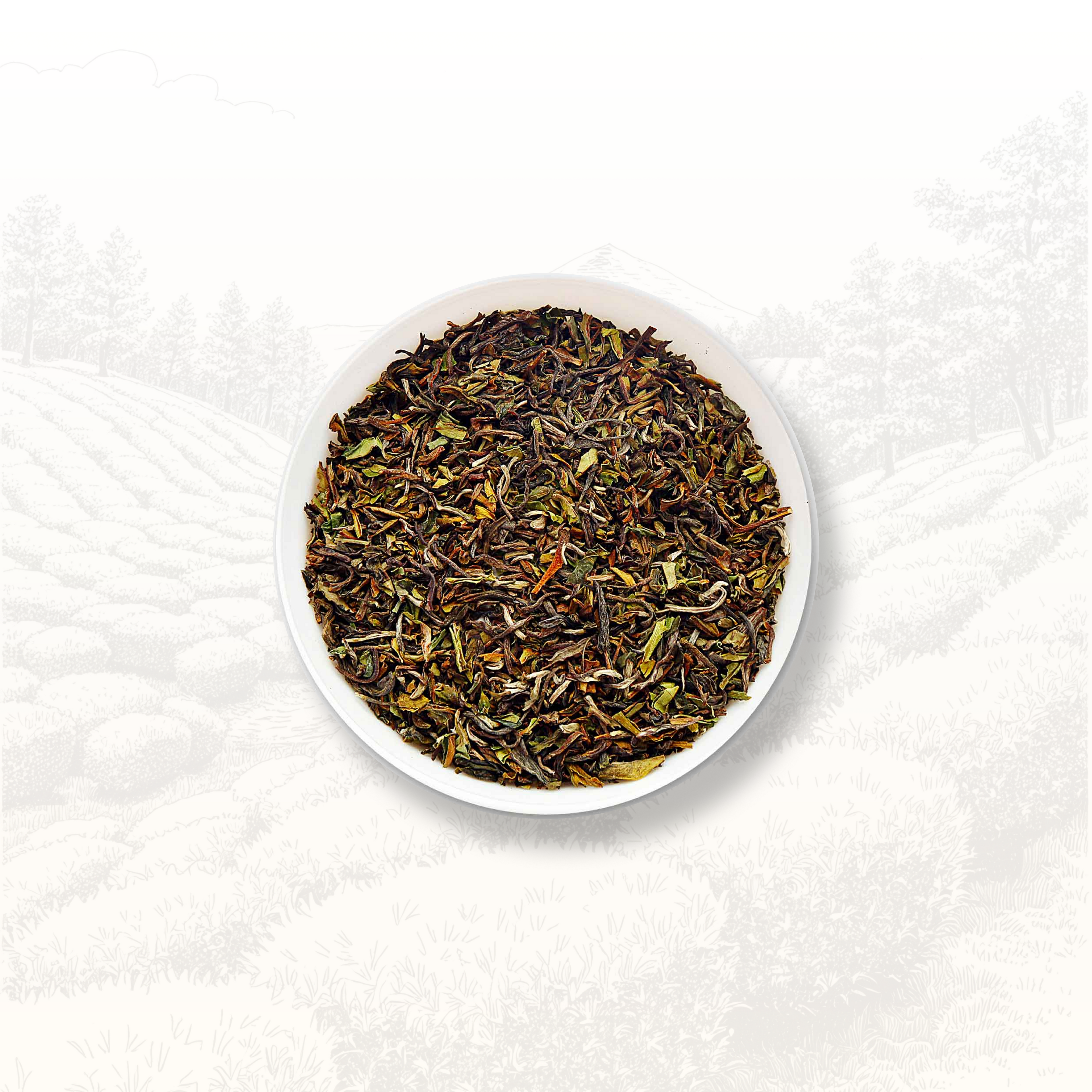 Darjeeling First Flush  - Batch 1/9